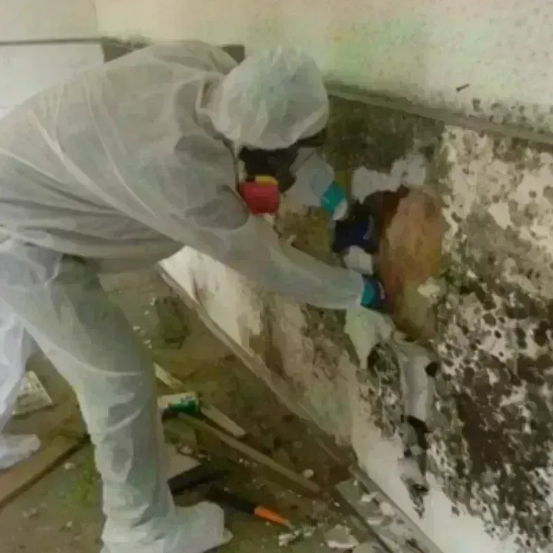 Mold Remediation and Removal in Millville, MA